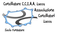 Socio Fondatore e Pres. te Coll. Sindacale Associazione Conciliatori Lucca